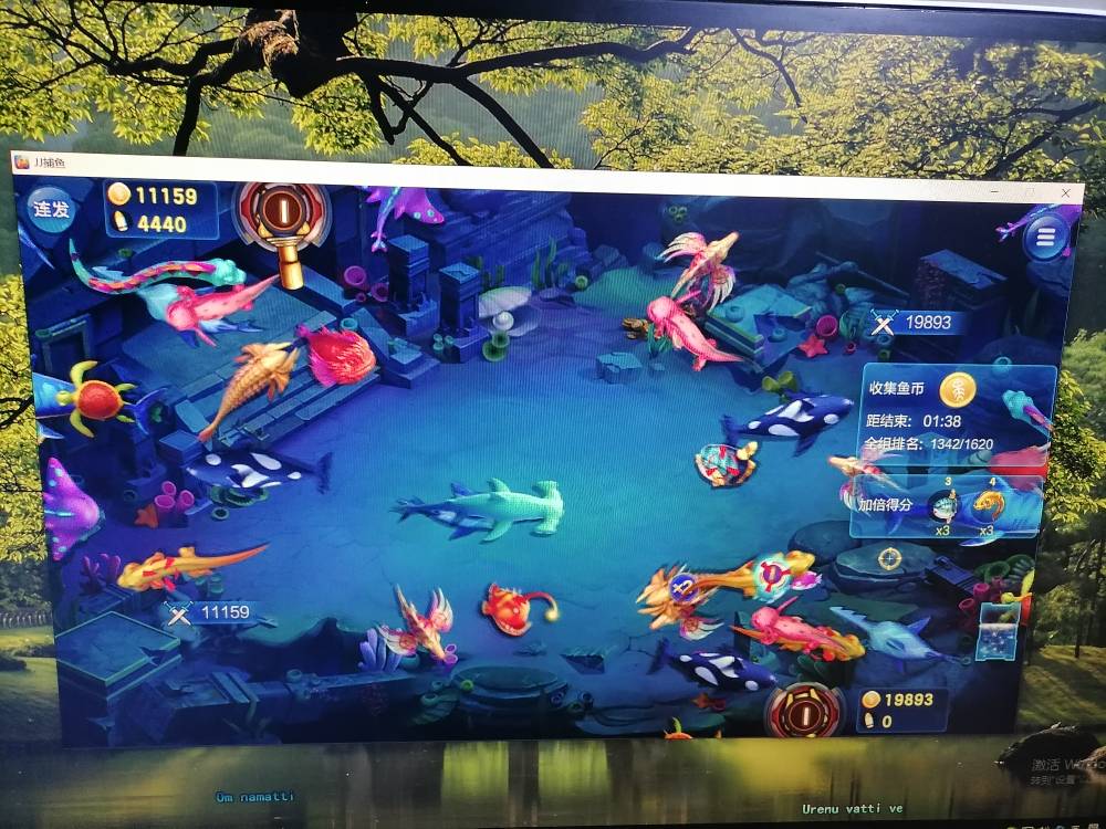 JJ升级大厅官网