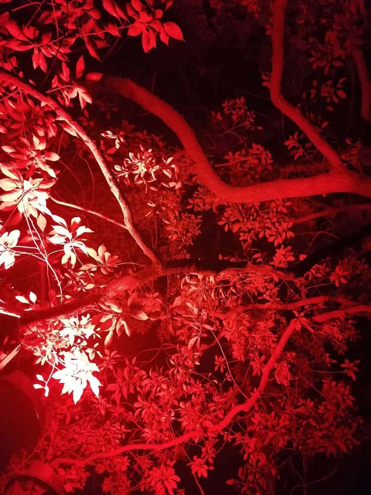 JJ打牌租号商人