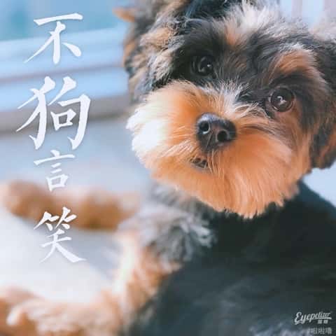 JJ斗地主怎么给别人金币