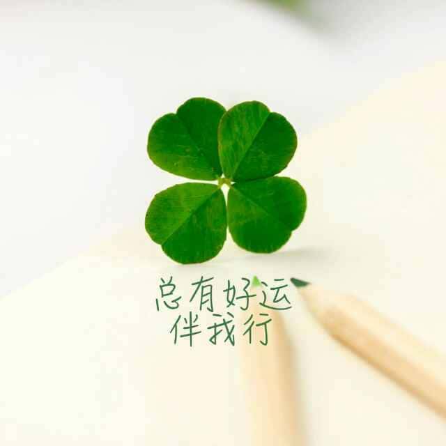 JJ比赛怎么解绑手机号