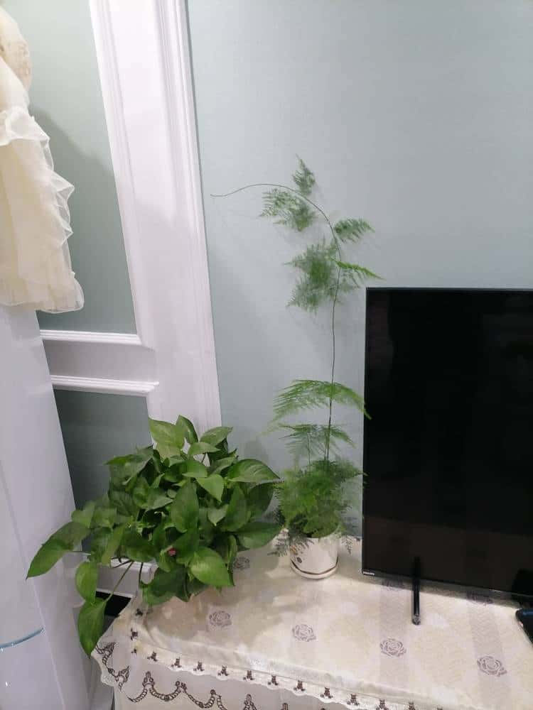 JJ斗地主金币最新交易方法