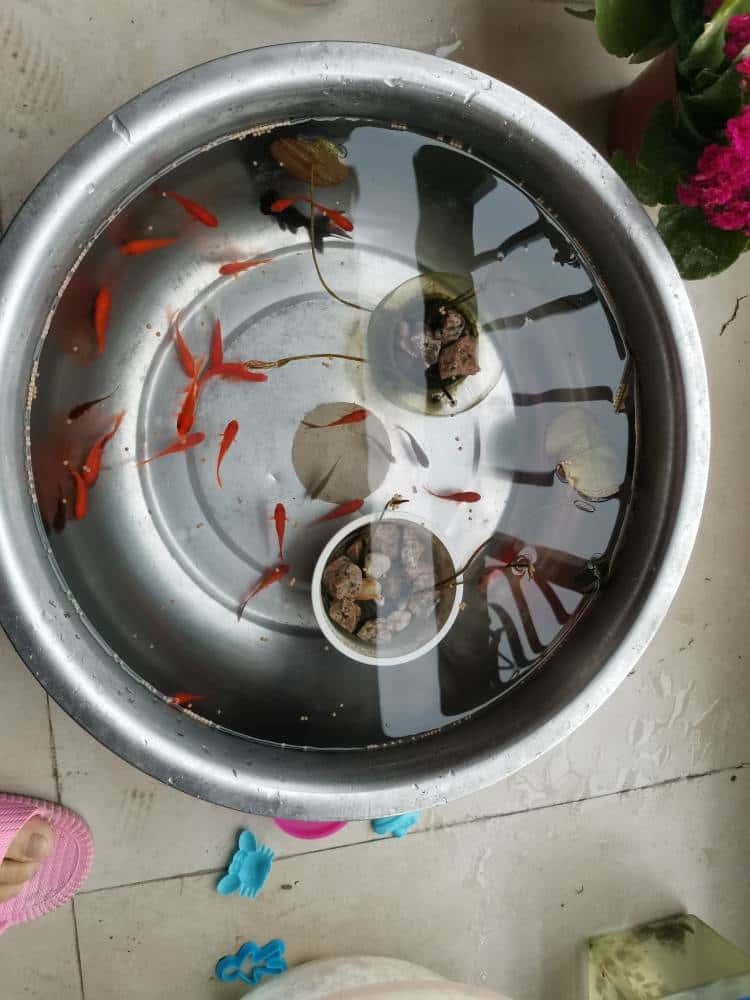 JJ捕鱼租号靠谱商人