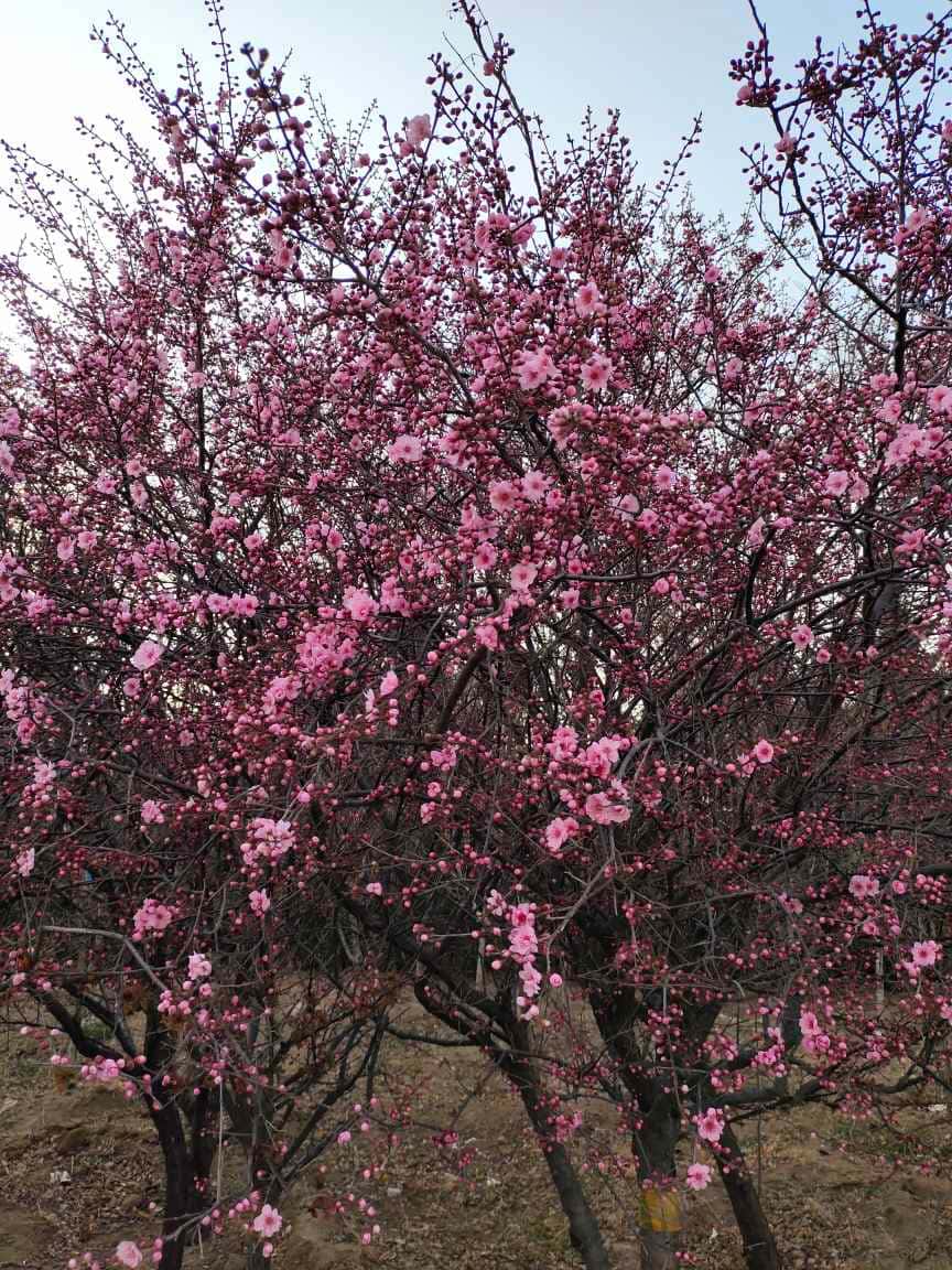 JJ斗地主打不开了怎么办