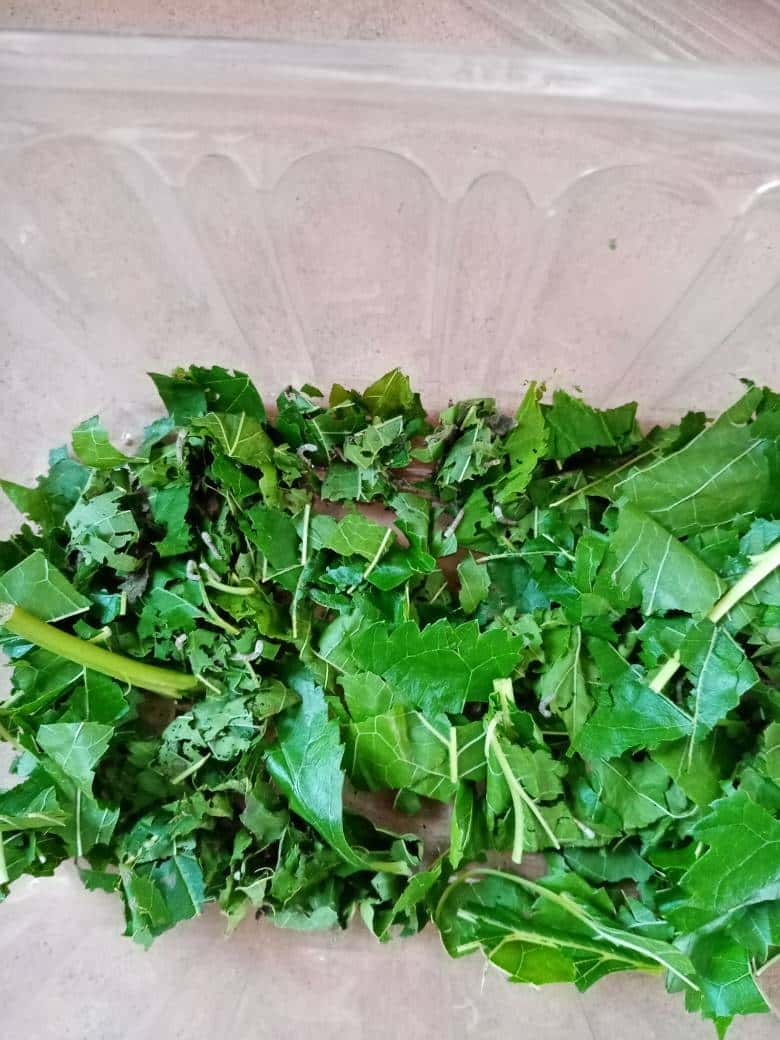 JJ斗地主里面金币怎么卖