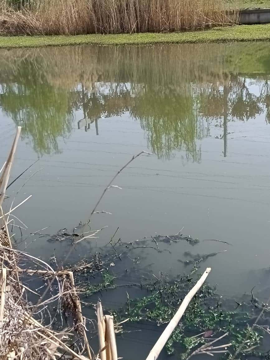 JJ游戏金币怎么交易