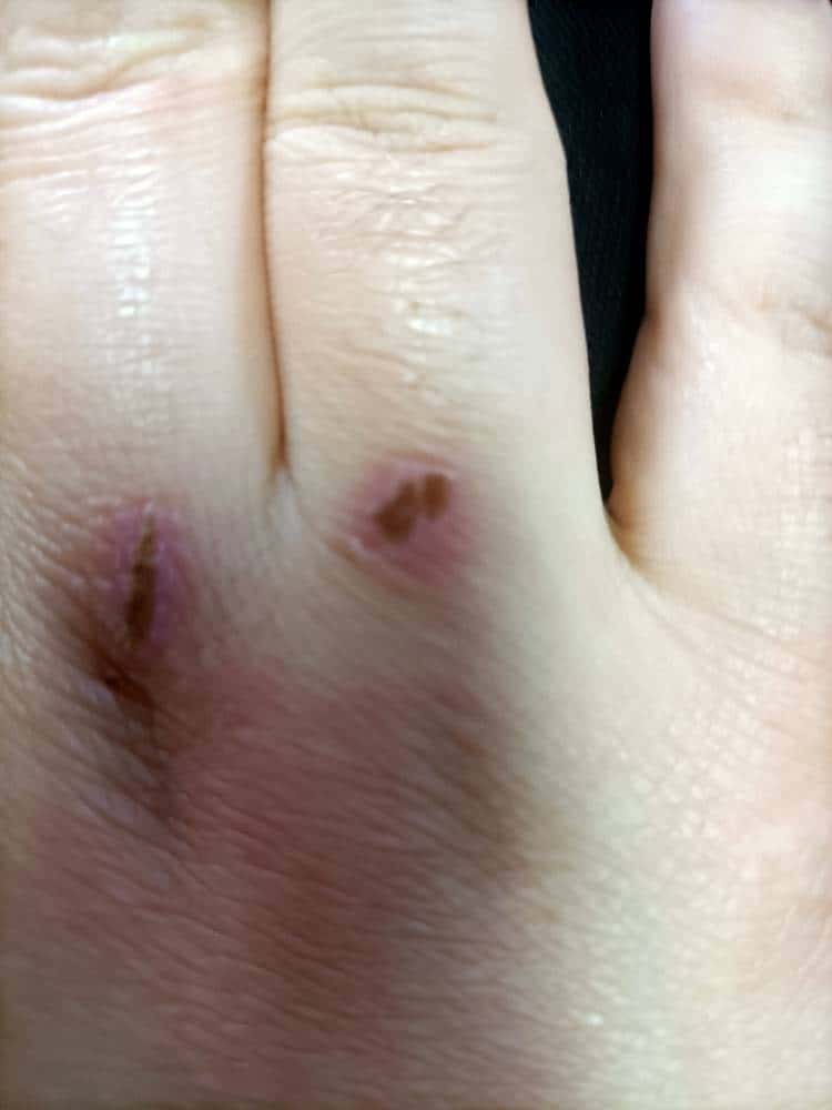 JJ斗地主没有社区