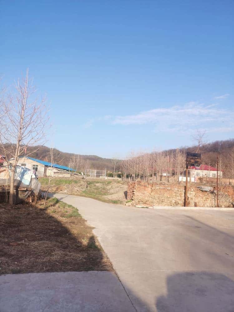 JJ斗地主金商群