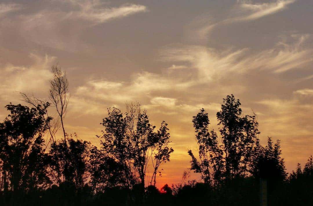 JJ斗地主二斗被限的解除方