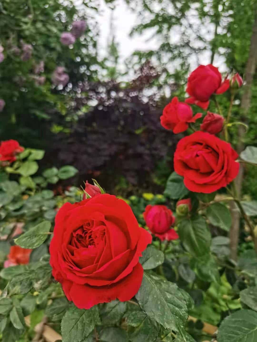 JJ斗地主捕鱼炮台锻造