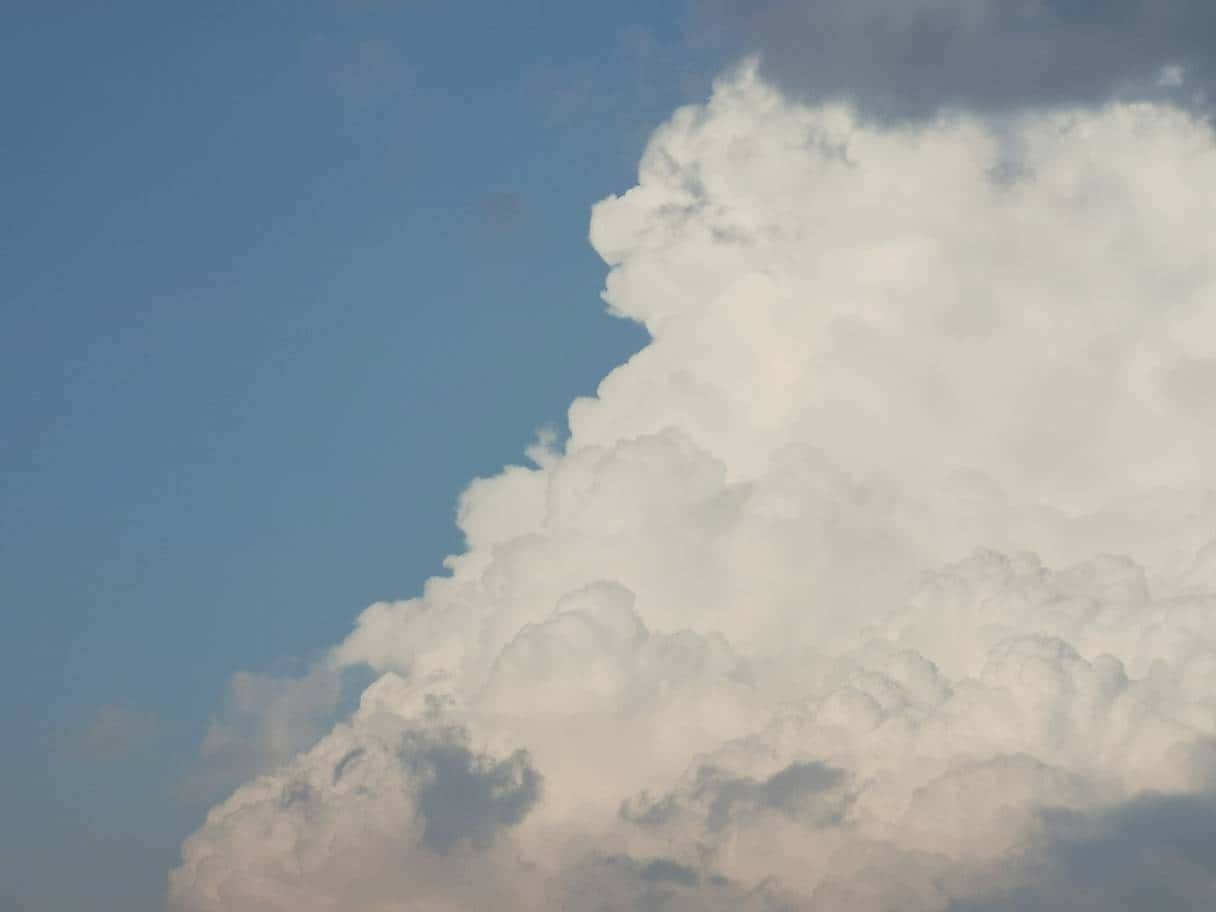 JJ诚信租号经典