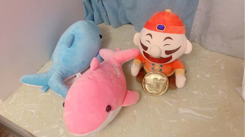 JJ比赛存金币在哪个位置