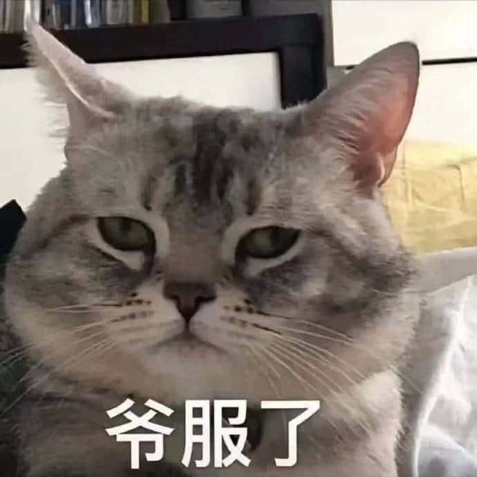 JJ捕鱼十大金商