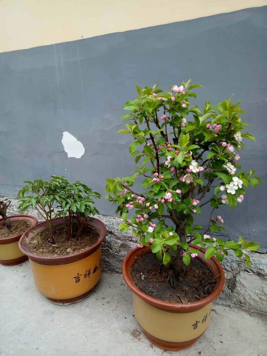 JJ斗地主怎么少了很多游戏