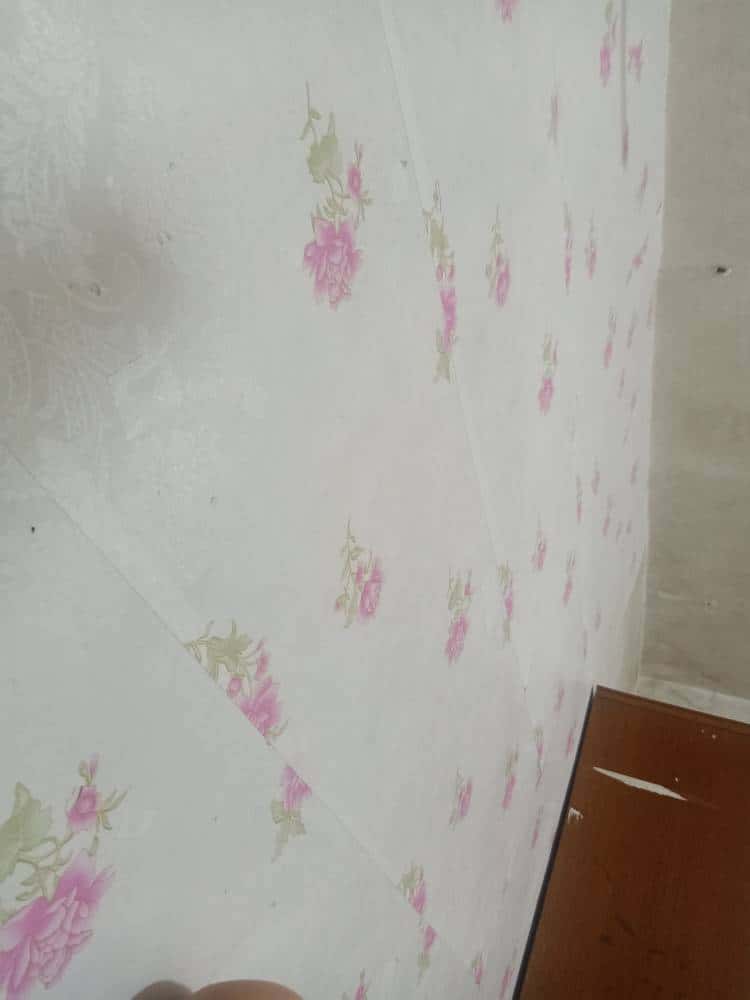 JJ斗地主百万助力入口