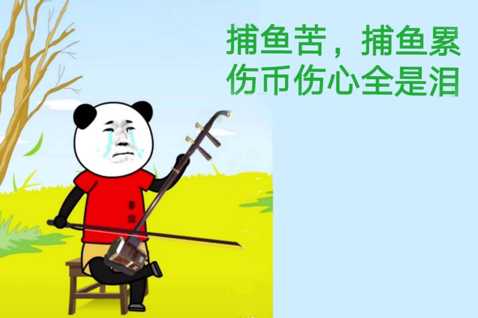 酷猫姐：中天之家在这里等你，来次够