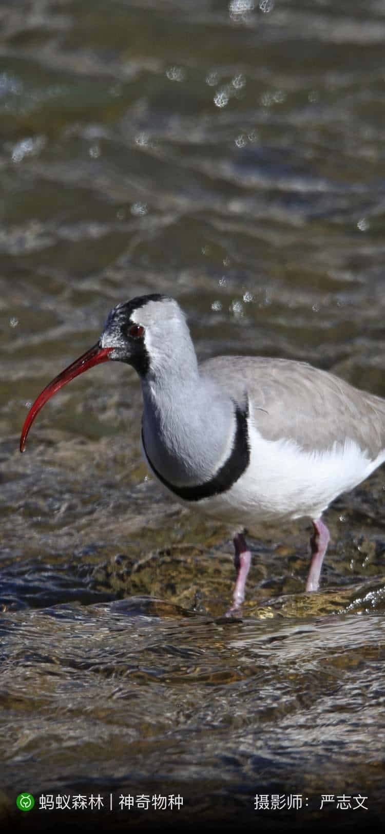 JJ斗地主怎么存金币